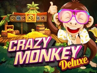 Crazy Monkey Deluxe game icon